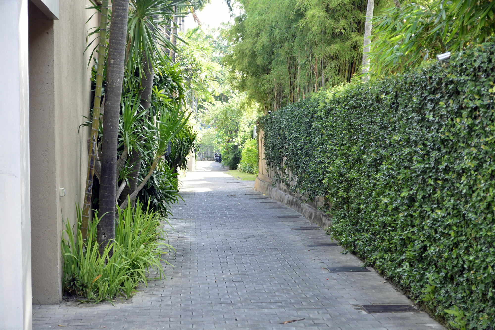 Sienna Villas - CHSE Certified Seminyak Exteriör bild